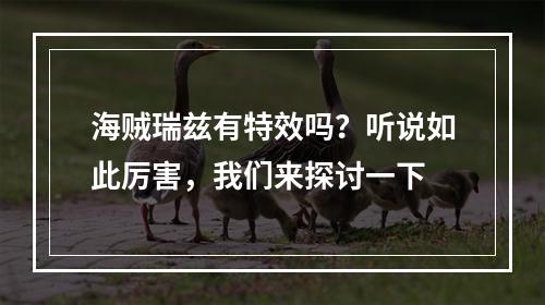 海贼瑞兹有特效吗？听说如此厉害，我们来探讨一下