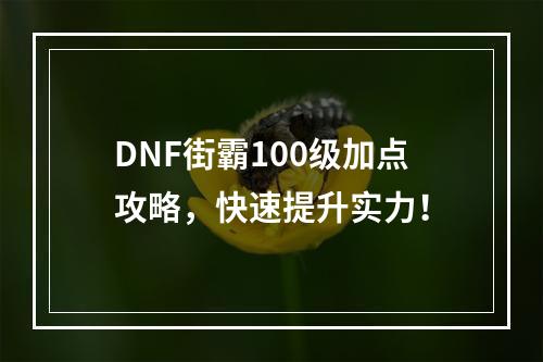 DNF街霸100级加点攻略，快速提升实力！