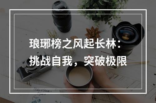 琅琊榜之风起长林：挑战自我，突破极限