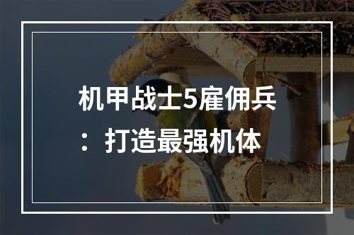 机甲战士5雇佣兵：打造最强机体