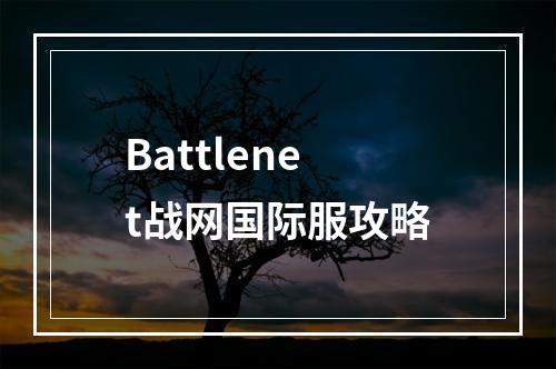 Battlenet战网国际服攻略