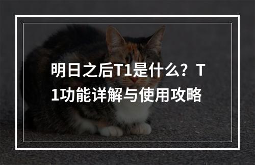 明日之后T1是什么？T1功能详解与使用攻略