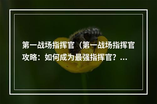 第一战场指挥官（第一战场指挥官攻略：如何成为最强指挥官？）