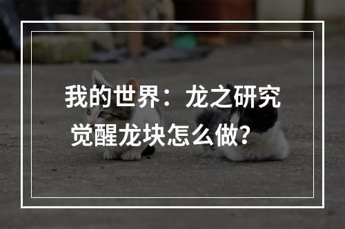 我的世界：龙之研究 觉醒龙块怎么做？