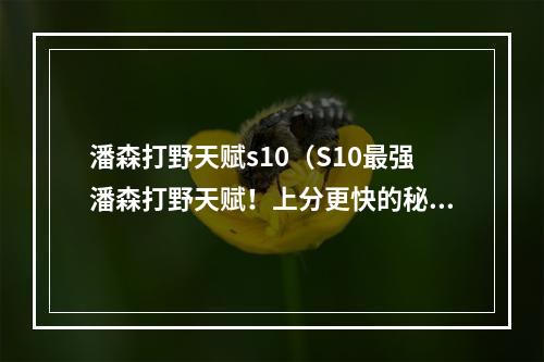 潘森打野天赋s10（S10最强潘森打野天赋！上分更快的秘诀解析）