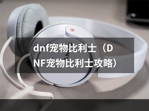 dnf宠物比利士（DNF宠物比利士攻略）