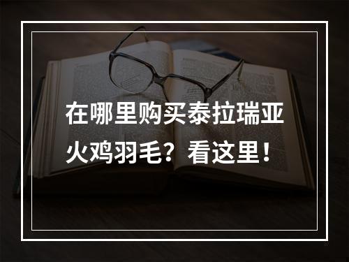 在哪里购买泰拉瑞亚火鸡羽毛？看这里！