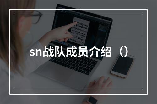 sn战队成员介绍（）