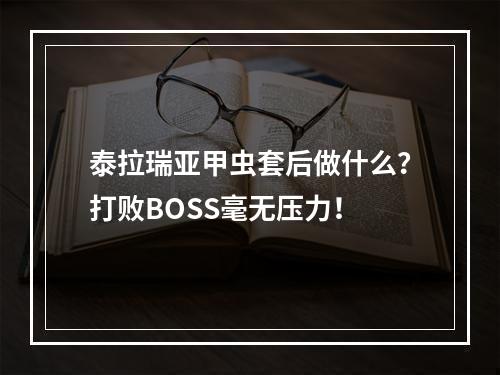 泰拉瑞亚甲虫套后做什么？打败BOSS毫无压力！