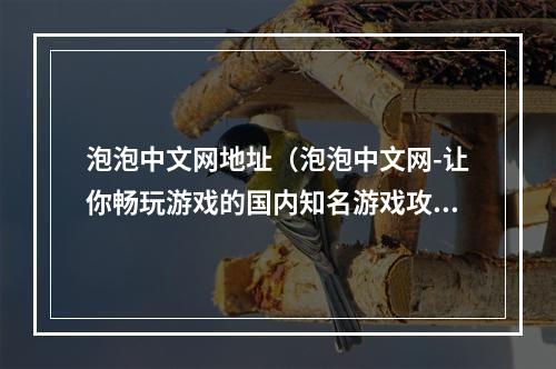 泡泡中文网地址（泡泡中文网-让你畅玩游戏的国内知名游戏攻略网站）