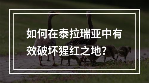 如何在泰拉瑞亚中有效破坏猩红之地？