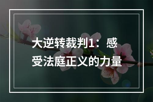 大逆转裁判1：感受法庭正义的力量