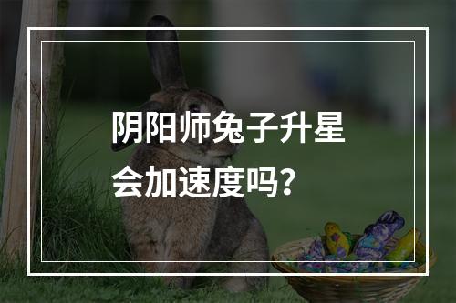 阴阳师兔子升星会加速度吗？