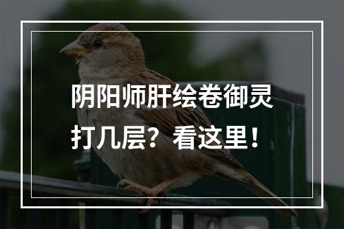 阴阳师肝绘卷御灵打几层？看这里！