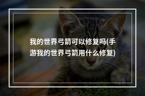 我的世界弓箭可以修复吗(手游我的世界弓箭用什么修复)