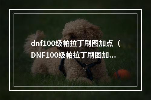 dnf100级帕拉丁刷图加点（DNF100级帕拉丁刷图加点攻略）