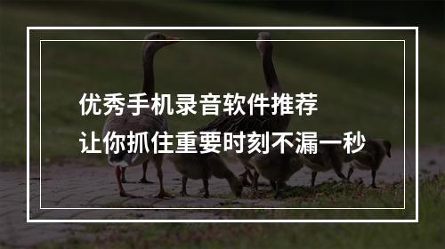 优秀手机录音软件推荐  让你抓住重要时刻不漏一秒