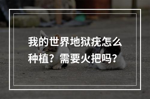 我的世界地狱疣怎么种植？需要火把吗？