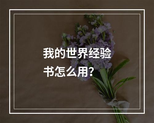 我的世界经验书怎么用？