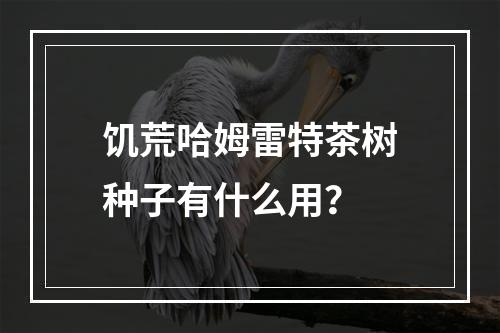 饥荒哈姆雷特茶树种子有什么用？