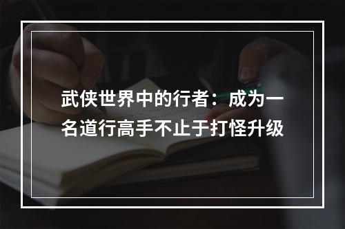 武侠世界中的行者：成为一名道行高手不止于打怪升级