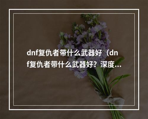 dnf复仇者带什么武器好（dnf复仇者带什么武器好？深度解析装备选择攻略）