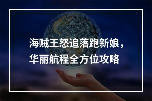 海贼王怒追落跑新娘，华丽航程全方位攻略