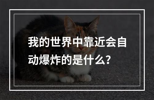 我的世界中靠近会自动爆炸的是什么？