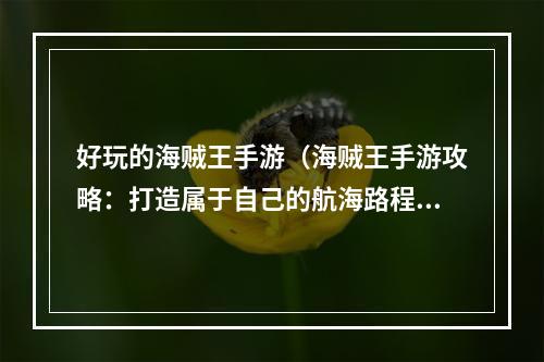 好玩的海贼王手游（海贼王手游攻略：打造属于自己的航海路程！）