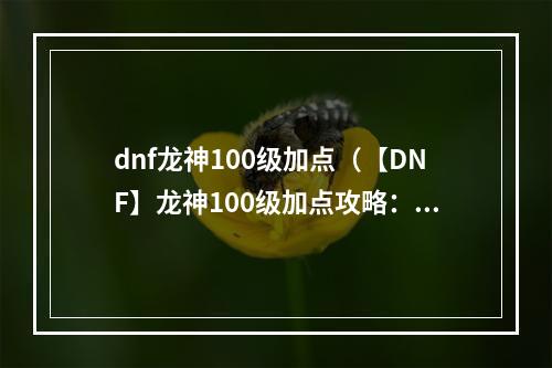 dnf龙神100级加点（【DNF】龙神100级加点攻略：打造顶尖输出）