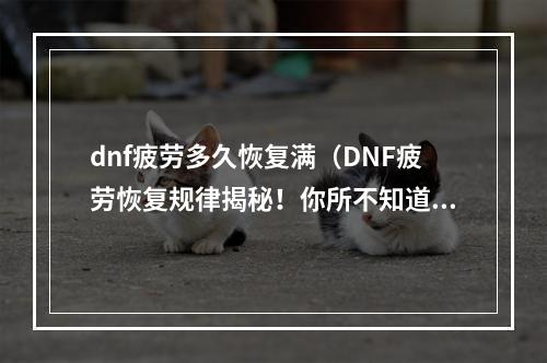 dnf疲劳多久恢复满（DNF疲劳恢复规律揭秘！你所不知道的恢复秘密大公开）