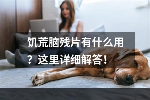 饥荒脑残片有什么用？这里详细解答！