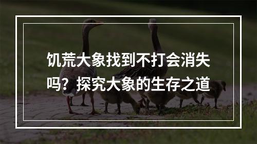 饥荒大象找到不打会消失吗？探究大象的生存之道