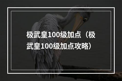 极武皇100级加点（极武皇100级加点攻略）