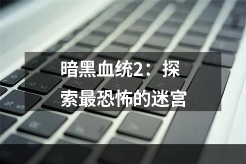 暗黑血统2：探索最恐怖的迷宫