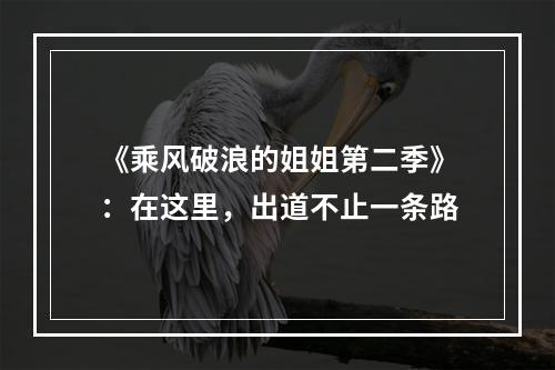 《乘风破浪的姐姐第二季》：在这里，出道不止一条路