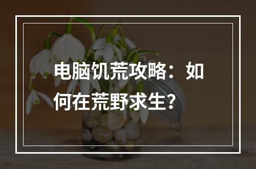 电脑饥荒攻略：如何在荒野求生？