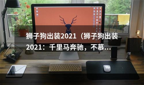 狮子狗出装2021（狮子狗出装2021：千里马奔驰，不慕富贵）