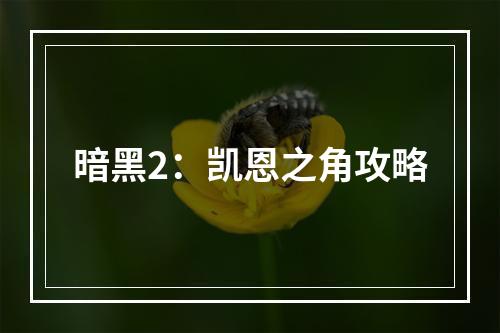 暗黑2：凯恩之角攻略