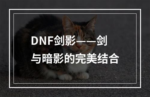 DNF剑影——剑与暗影的完美结合