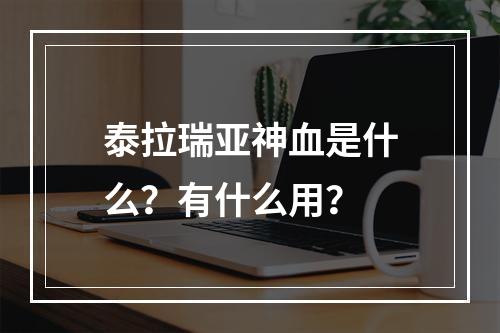 泰拉瑞亚神血是什么？有什么用？