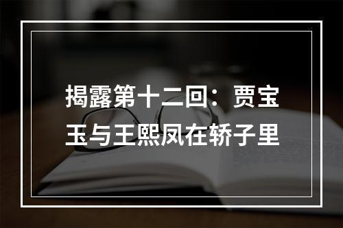 揭露第十二回：贾宝玉与王熙凤在轿子里