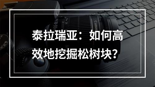 泰拉瑞亚：如何高效地挖掘松树块？