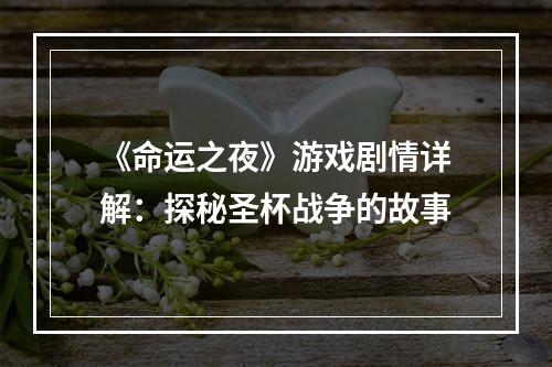 《命运之夜》游戏剧情详解：探秘圣杯战争的故事