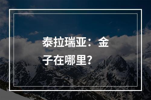 泰拉瑞亚：金子在哪里？