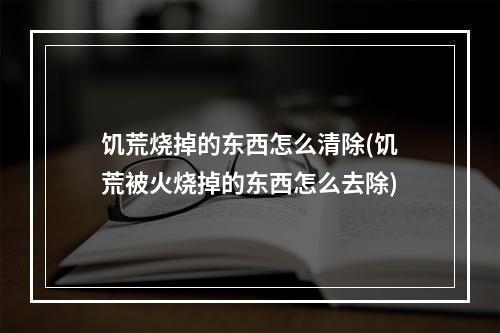 饥荒烧掉的东西怎么清除(饥荒被火烧掉的东西怎么去除)