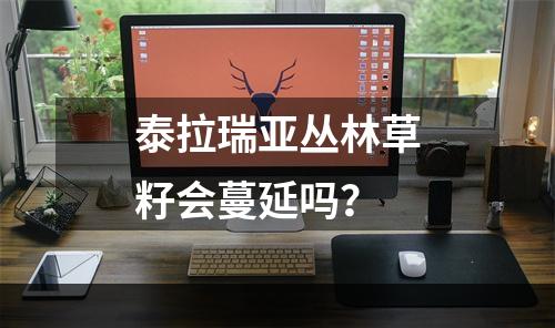 泰拉瑞亚丛林草籽会蔓延吗？