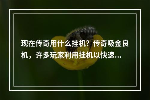 现在传奇用什么挂机？传奇吸金良机，许多玩家利用挂机以快速提升等级、赚取金币。那么，现在传奇用什么挂机