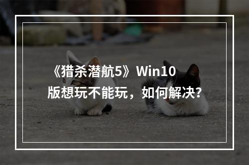 《猎杀潜航5》Win10版想玩不能玩，如何解决？