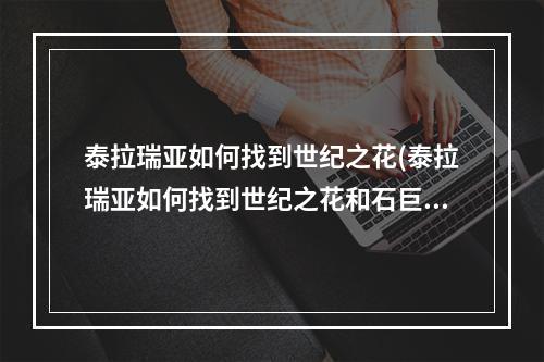 泰拉瑞亚如何找到世纪之花(泰拉瑞亚如何找到世纪之花和石巨人)